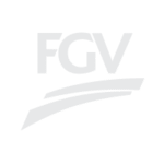 fgv